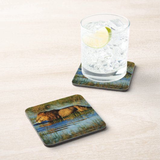 Okavango Dreieck, Botswana 3 Untersetzer (Rechte Seite)