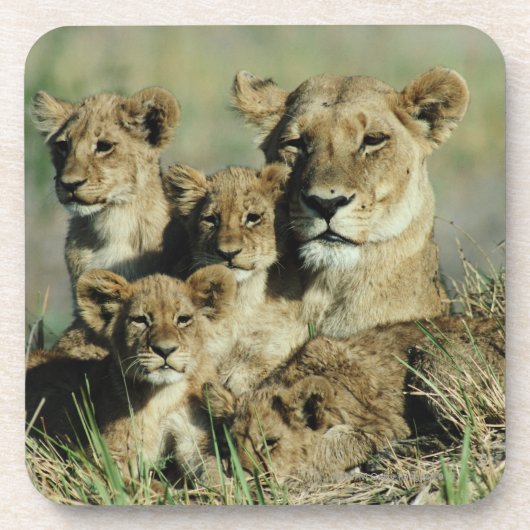 Okavango Dreieck, Botswana Untersetzer (Vorderseite)