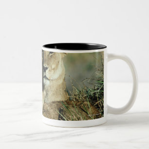 Okavango Dreieck, Botswana Zweifarbige Tasse