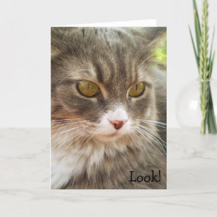 Okay. Birthday Card with Karte