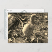 Okay, Tschüss! - Postkarte (Vorne/Hinten)