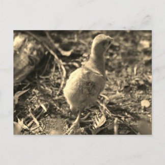 Okay, Tschüss! - Postkarte