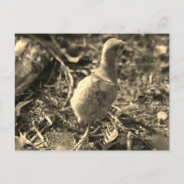 Okay, Tschüss! - Postkarte