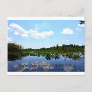 Okefenokee National Wildlife Refuge Postkarte
