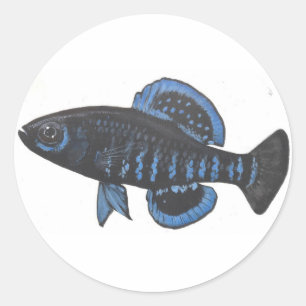Okefenokee Pygmäensunfish Aufkleber