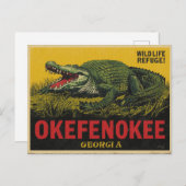 Okefenokee Swamp Alligator Georgia Postkarte (Vorne/Hinten)