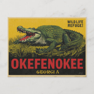 Okefenokee Swamp Alligator Georgia Postkarte