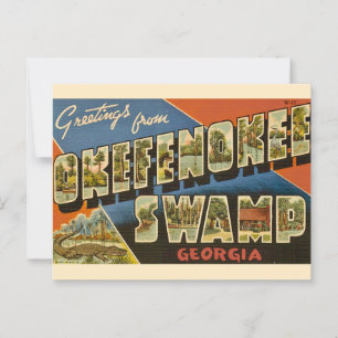 Okefenokee Swamp GA Postcard Postkarte