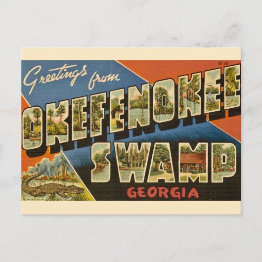 Okefenokee Swamp GA Postcard Postkarte (Vorderseite)