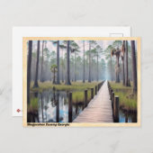 Okefenokee Swamp Georgia Vintage Travel Postkarte (Vorne/Hinten)