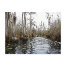 Okefenokee Swamp, Georgien
