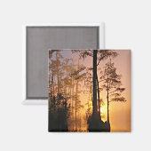 Okefenokee Swamp Magnet (Vorderseite/Rückseite)