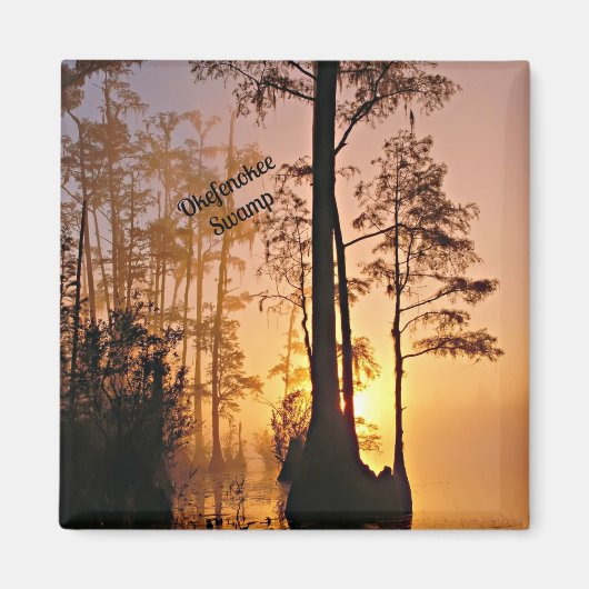 Okefenokee Swamp Magnet (Vorne)