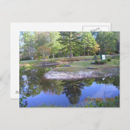 "OKEFENOKEE SWAMP PARK" POSTKARTE (Vorne/Hinten)