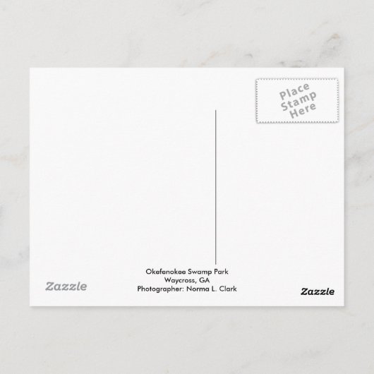 "OKEFENOKEE SWAMP PARK" POSTKARTE (Rückseite)