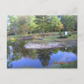 "OKEFENOKEE SWAMP PARK" POSTKARTE (Vorderseite)