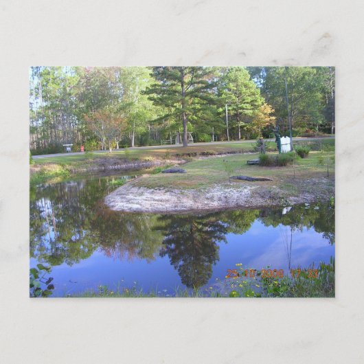 "OKEFENOKEE SWAMP PARK" POSTKARTE (Vorderseite)