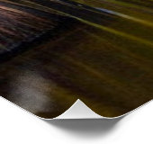 Okefenokee Swamp Poster (Ecke)