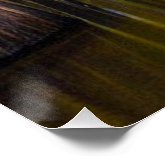 Okefenokee Swamp Poster (Ecke)