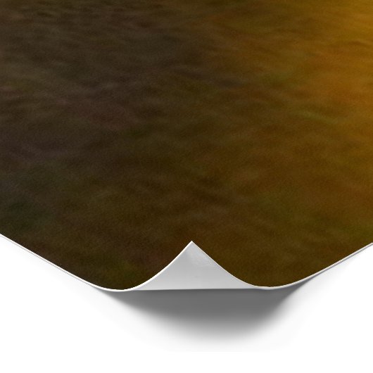 Okefenokee Swamp Poster (Ecke)