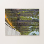 Okefenokee Swamp Puzzle (Horizontal)