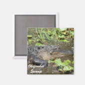 Okefenokee Swamp Waycross Georgia Alligator Magnet (Vorderseite/Rückseite)