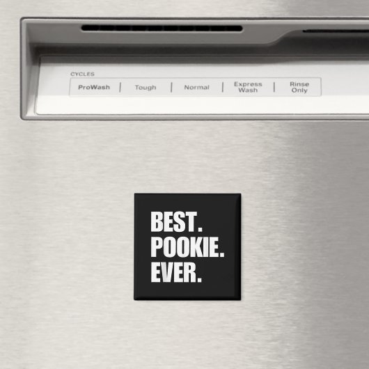 Okie Ever Aesthetic Slang Viral Gen Z Quote Meme T Magnet (In Situ (Geschirrspüler))