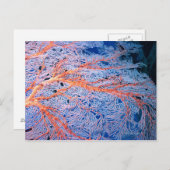 Okinawa, Japan, nah Postkarte (Vorne/Hinten)