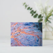 Okinawa, Japan, nah Postkarte (Stehend Vorderseite)