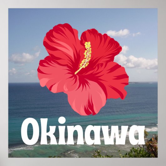 Okinawa Landschaftliche Aussicht und Hibiskus Poster (Vorne)