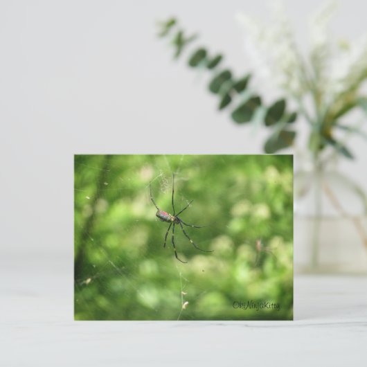 Okinawa Spider Postkarte (Stehend Vorderseite)