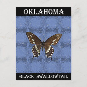 Oklahoma Black Frack Butterfly Postkarte