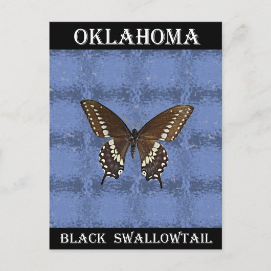 Oklahoma Black Frack Butterfly Postkarte (Vorderseite)