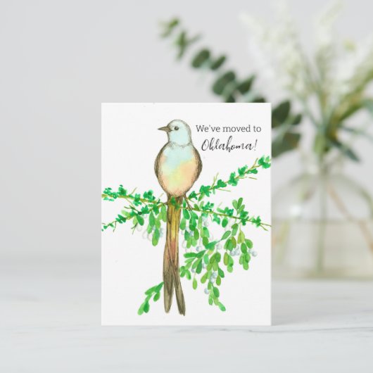 Oklahoma Flycatcher Bird Postkarte (Stehend Vorderseite)