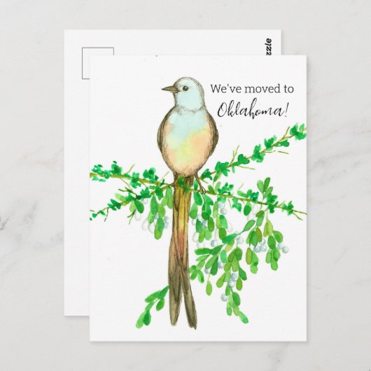 Oklahoma Flycatcher Bird Postkarte (Vorne/Hinten)
