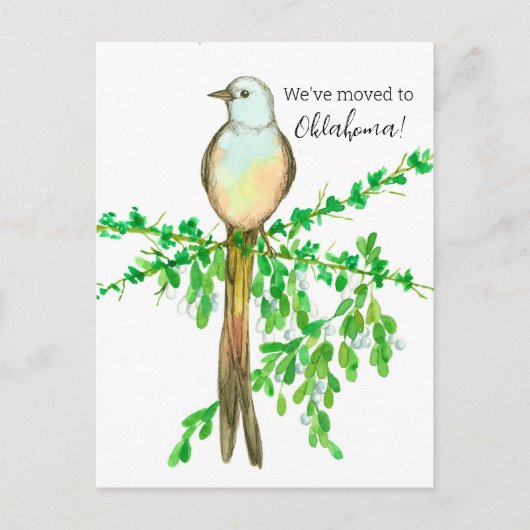 Oklahoma Flycatcher Bird Postkarte (Vorderseite)