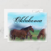 Oklahoma horses postkarte (Vorne/Hinten)
