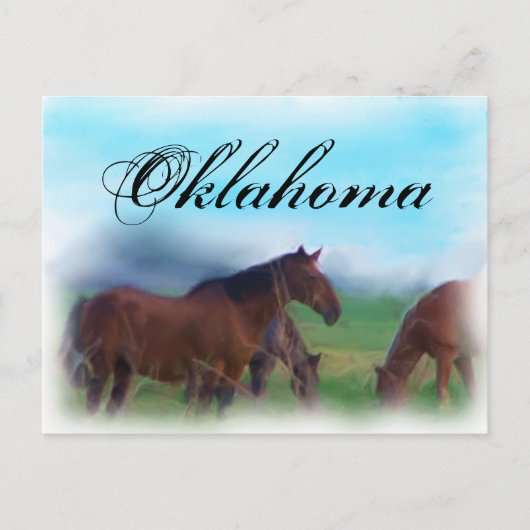 Oklahoma horses postkarte (Vorderseite)