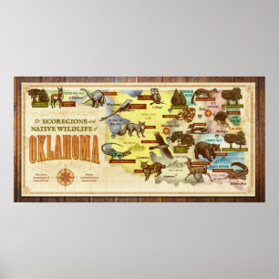 Oklahoma-Karte: Ecoregions u. gebürtige wild Poster