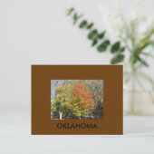 OKLAHOMA POSTKARTE (Stehend Vorderseite)