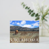Oklahoma Prairie Postcard Postkarte (Stehend Vorderseite)