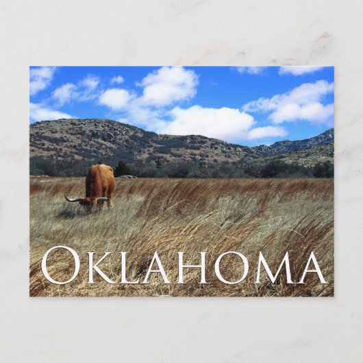 Oklahoma Prairie Postcard Postkarte (Vorderseite)