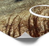 Oklahoma Prairie Print Poster (Ecke)