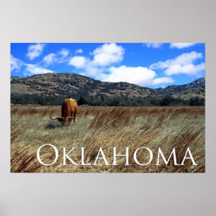 Oklahoma Prairie Print Poster