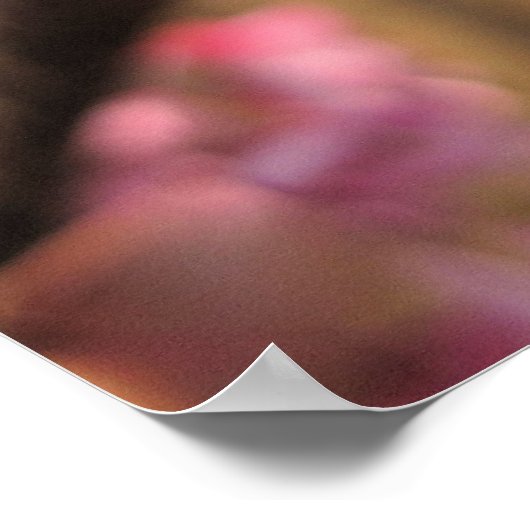 Oklahoma Redbud Blossoms II Print Poster (Ecke)