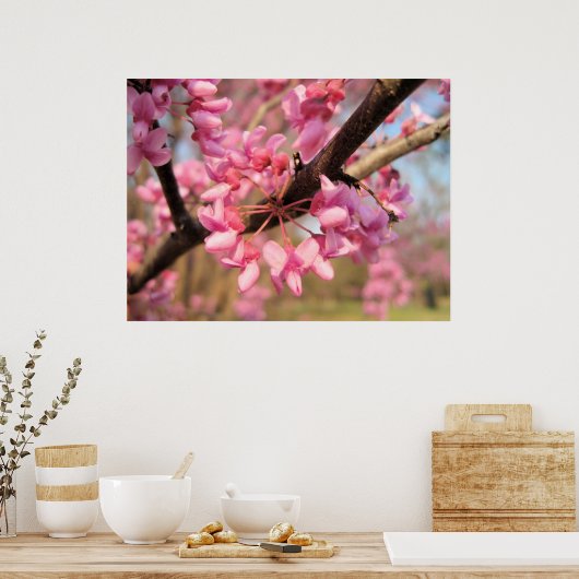 Oklahoma Redbud Blossoms II Print Poster (Küche)