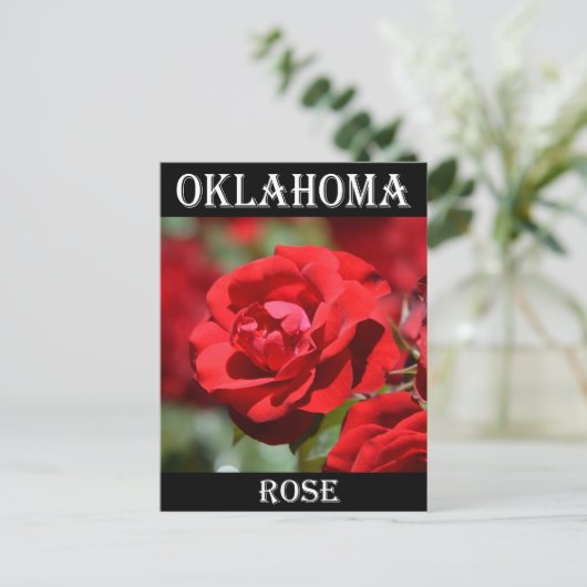 Oklahoma-Rose Postkarte (Stehend Vorderseite)