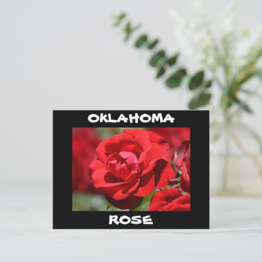 Oklahoma-Rose Postkarte (Stehend Vorderseite)