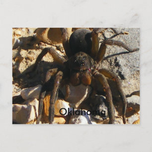 Oklahoma, Spider Postkarte