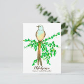 Oklahoma Staat Bird Scissance Flycatcher Postkarte (Stehend Vorderseite)